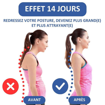 Civière Dorsale Orthopédique Spinelux™ Belle Vie Market