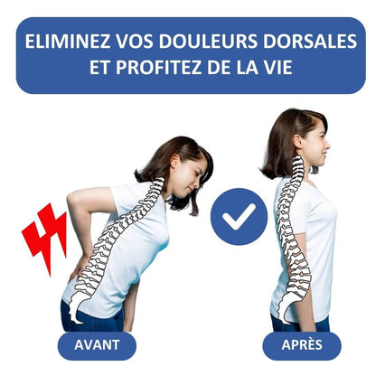 Civière Dorsale Orthopédique Spinelux™ Belle Vie Market